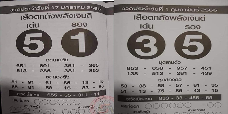  เสือตกถังพลังเงินดี ปี 2566