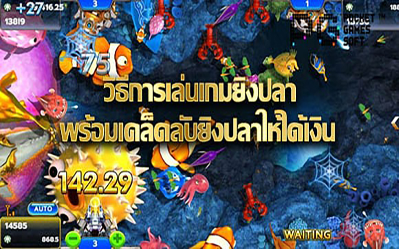 เกมยิงปลา sa game-heng99fun.com