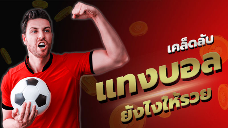 T Sport 7 ถ่ายทอดสดวอลเลย์บอลวันนี้