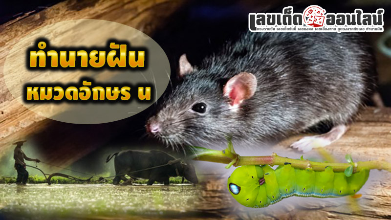 รูปภาพทำนายฝัน หมวดอักษร น ของ lekdedonline