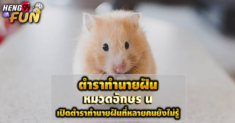 ทำนายฝัน หมวดอักษร น - "lottery"