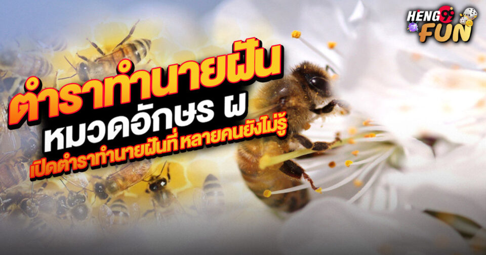 ทำนายฝัน หมวดอักษร ผ - "lottery"