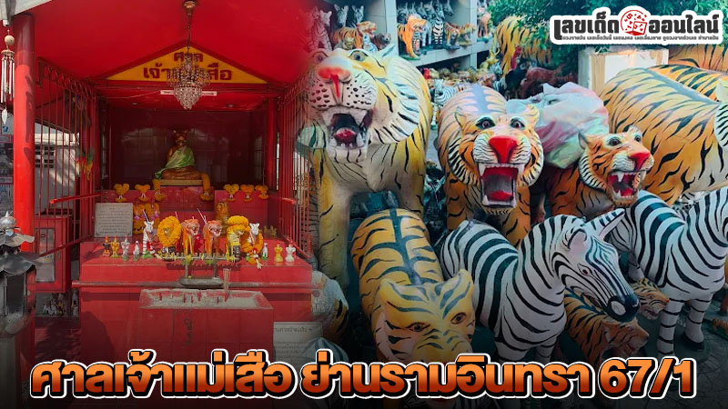 รูปภาพศาลเจ้าแม่เสือของ lekdedonline