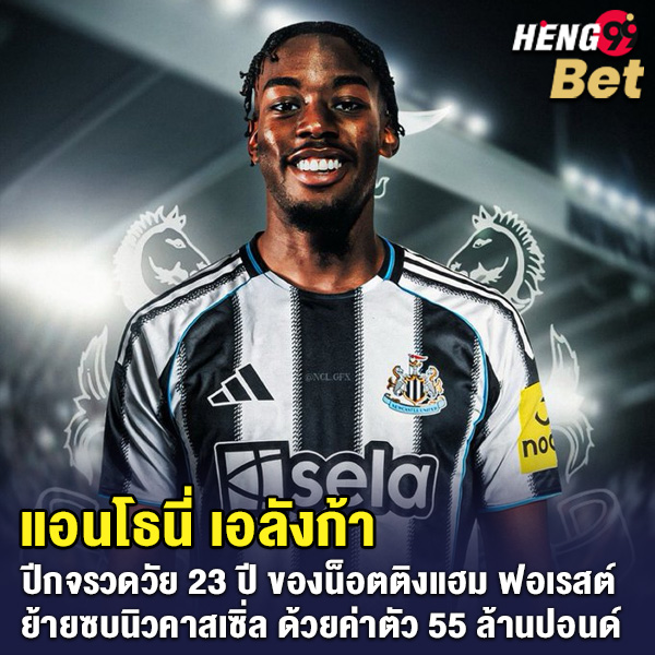 รูปภาพแอนโธนี่ เอลังก้าปีกดาวรุ่งฟอเรสต์ของ heng99