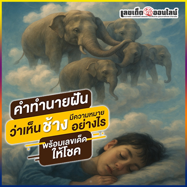 รูปภาพทำนายฝันเห็นช้างของ lekdedonline