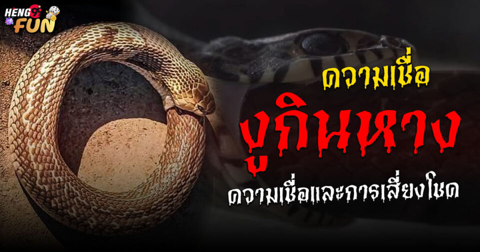งูกินหางหมายถึง ขอตัวเลขไว้เสี่ยงทาย -"Snake eating its tail means asking for numbers to gamble."