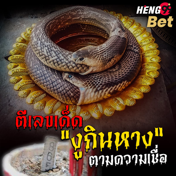 รูปภาพตีเลขจากงูกินหางของ heng99