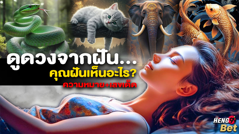 รูปภาพดูดวงจากฝันบอกความหมายพร้อมเลขเด็ดของ heng99