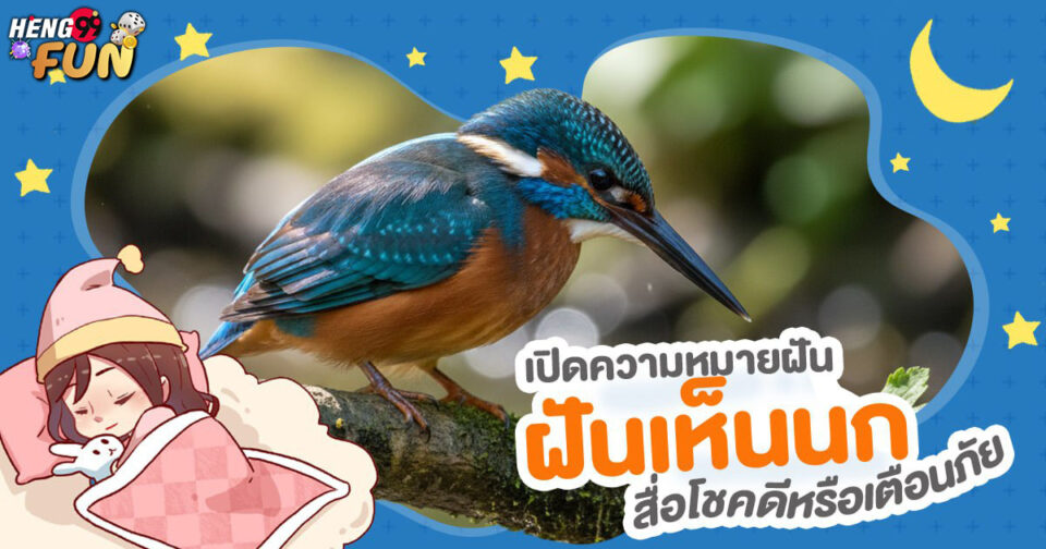ทำนายฝัน ฝันนก -"Dream interpretation bird dreams"