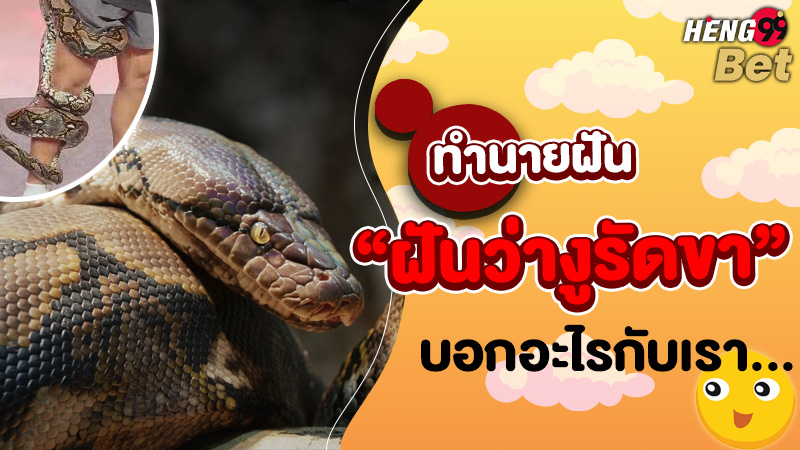 รูปภาพฝันว่างูรัดขาบอกอะไรกับคุณของ heng99