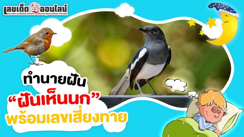 รูปภาพทำนายฝันฝันเห็นนกพร้อมเลขเสี่ยงทายของของ lekdedonline