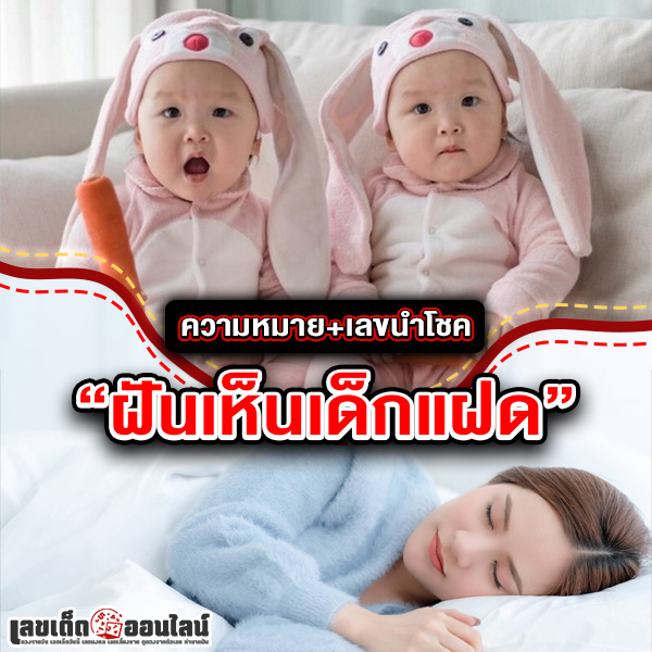 รูปภาพความหมายเลขนำโชคฝันเห็นเด็กแฝดของ lekdedonline